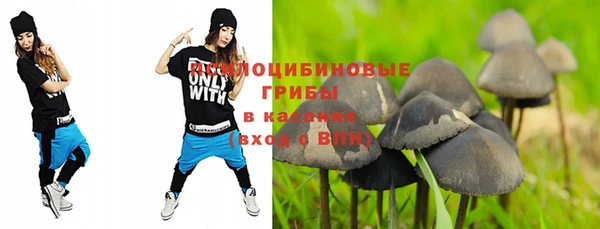 гидропоника Баксан