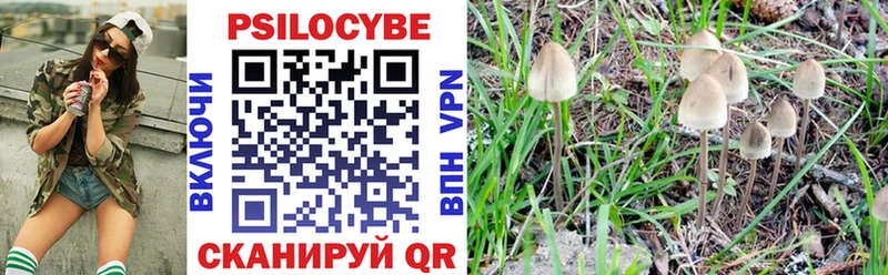 Галлюциногенные грибы мухоморы  Вуктыл 